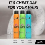 Got2b dry shampoo Extra Fresh